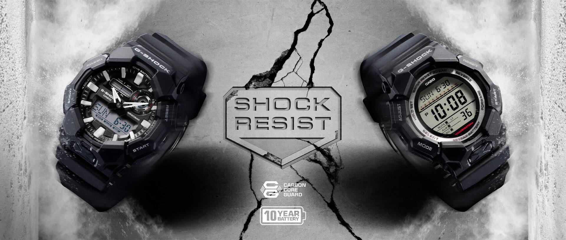 10-YEAR BATTERY SERIES GA-010, GD-010