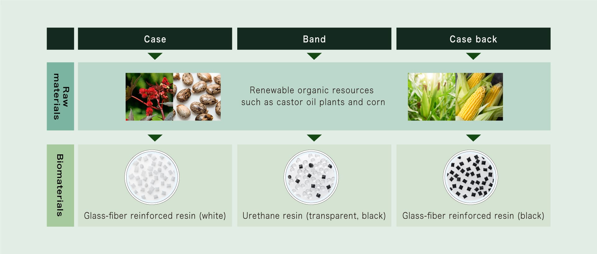 Infographic of raw materials processed to biomaterials for the different components of the watch Infographic of raw materials processed to biomaterials for the different components of the watch