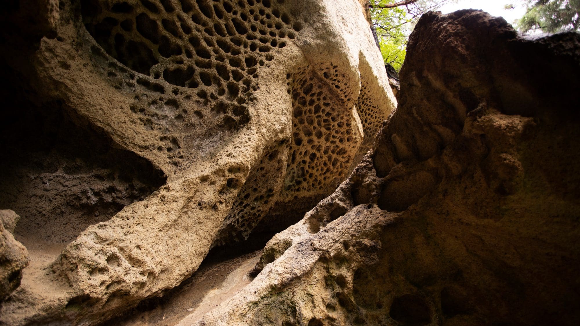 Rovine di Tarumizu: Un intricato conglomerato di pietre massicce e pareti rocciose