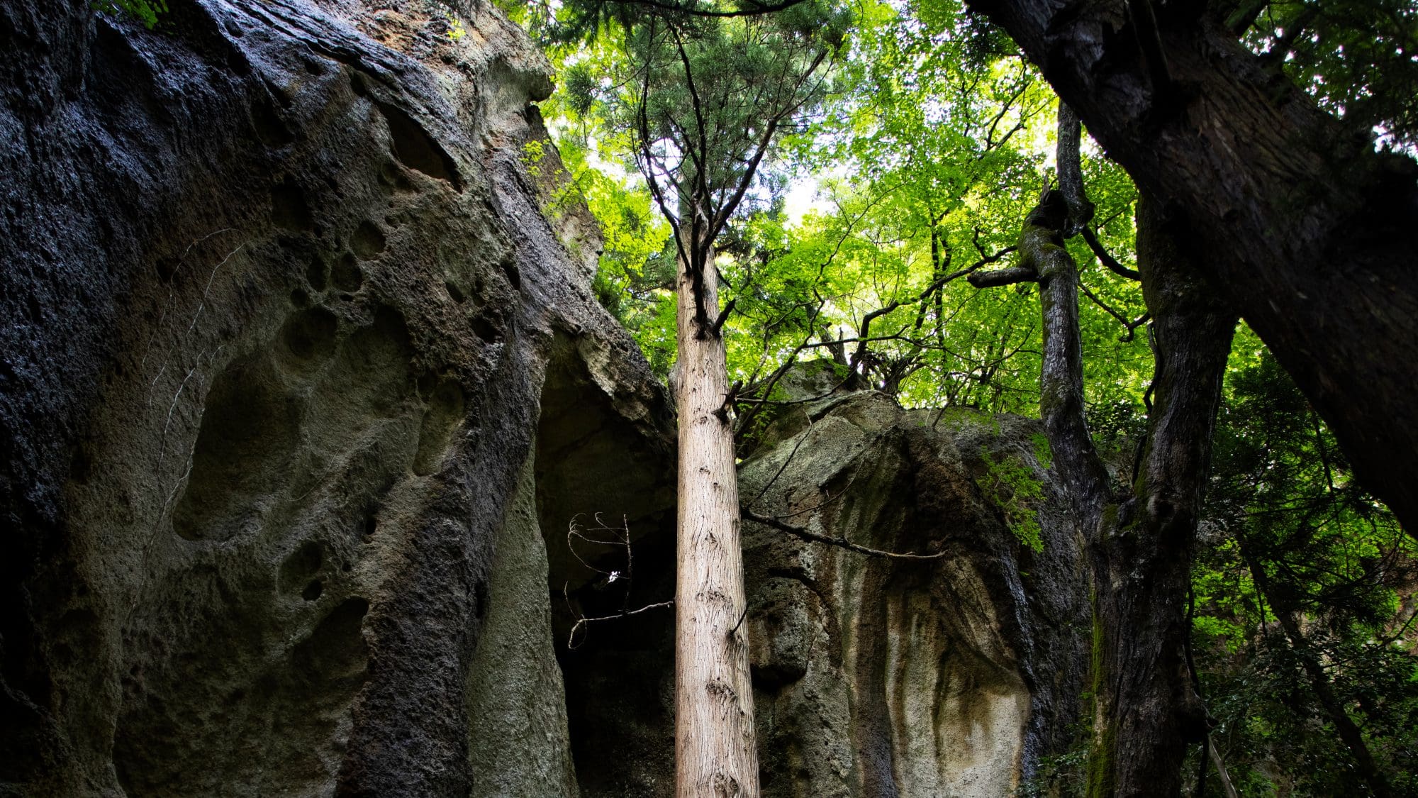 Un intricato conglomerato di pietre massicce e pareti rocciose
