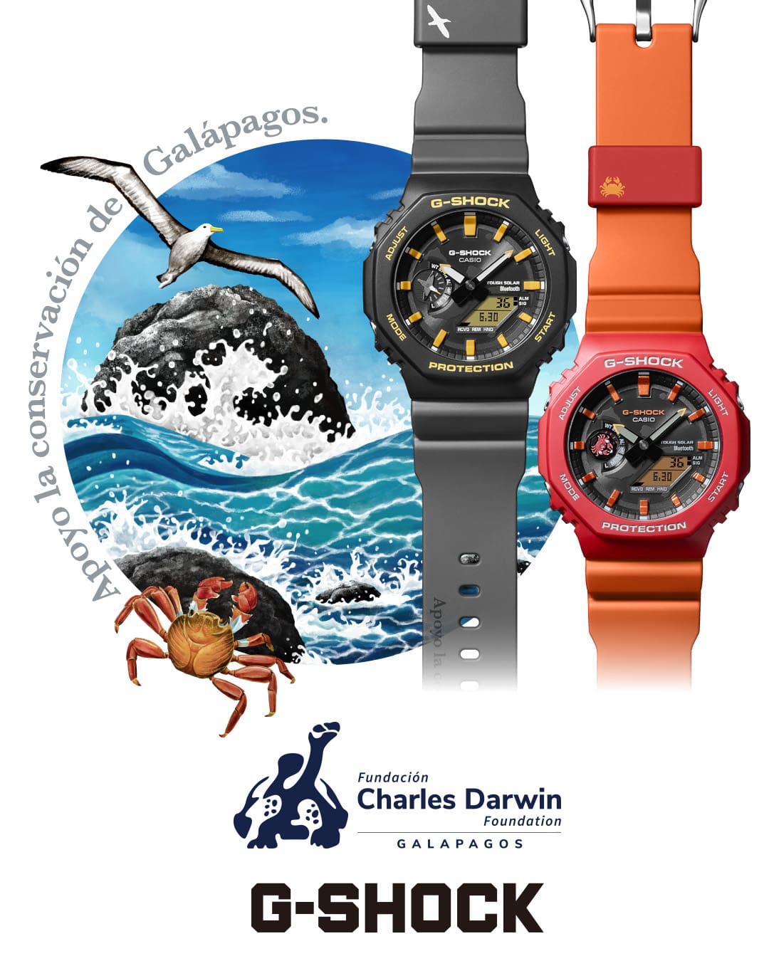 G-SHOCK x チャールズダーウィン財団　コラボ