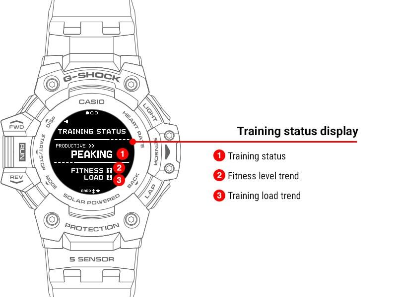 ស្ថានភាពនៃការហ្វឹកហាត់