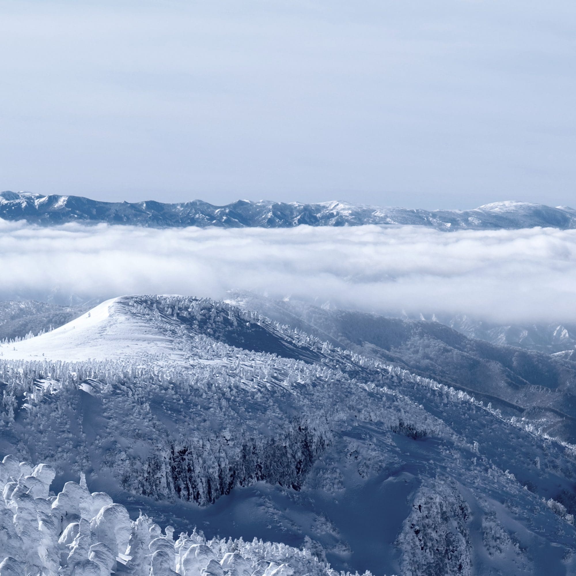 MR-G 역사와 시계 제조 페이지를 확인해 보세요.