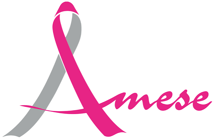 AMESE Foundation logo