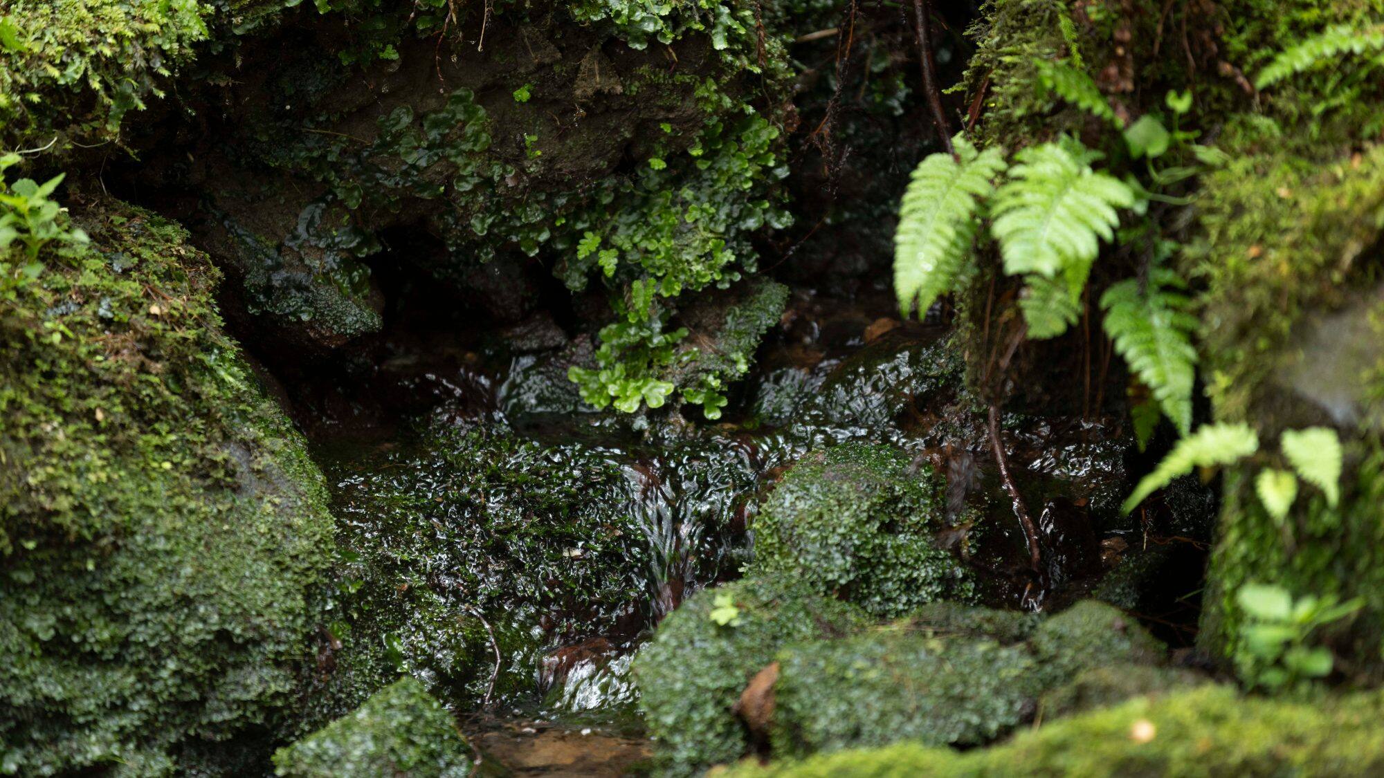 Ushiwatari River image 1