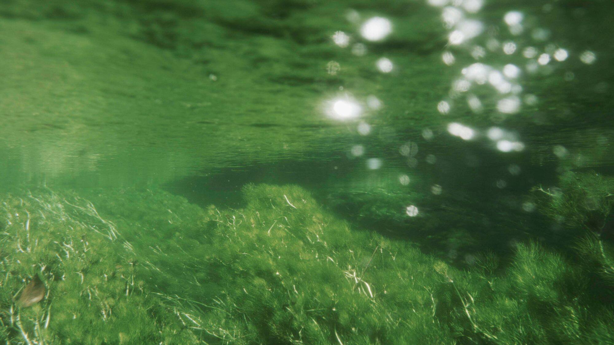 Ushiwatari River image 2