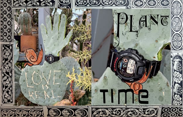 Una foto de un G-SHOCK puesto alrededor de un cactus.