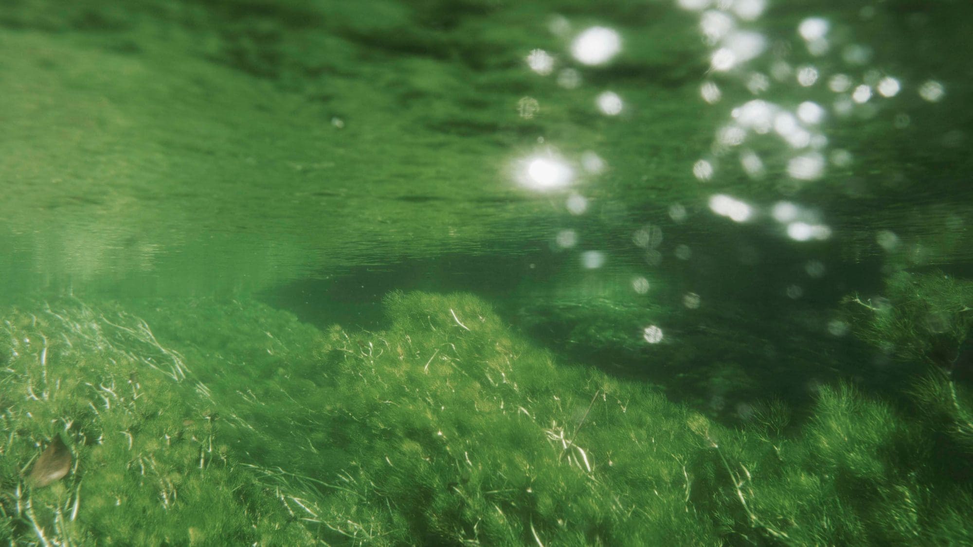 Imagen del río Ushiwatari 2
