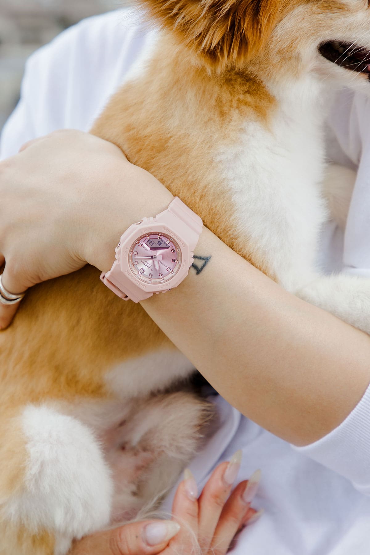 bambi styling cut -2