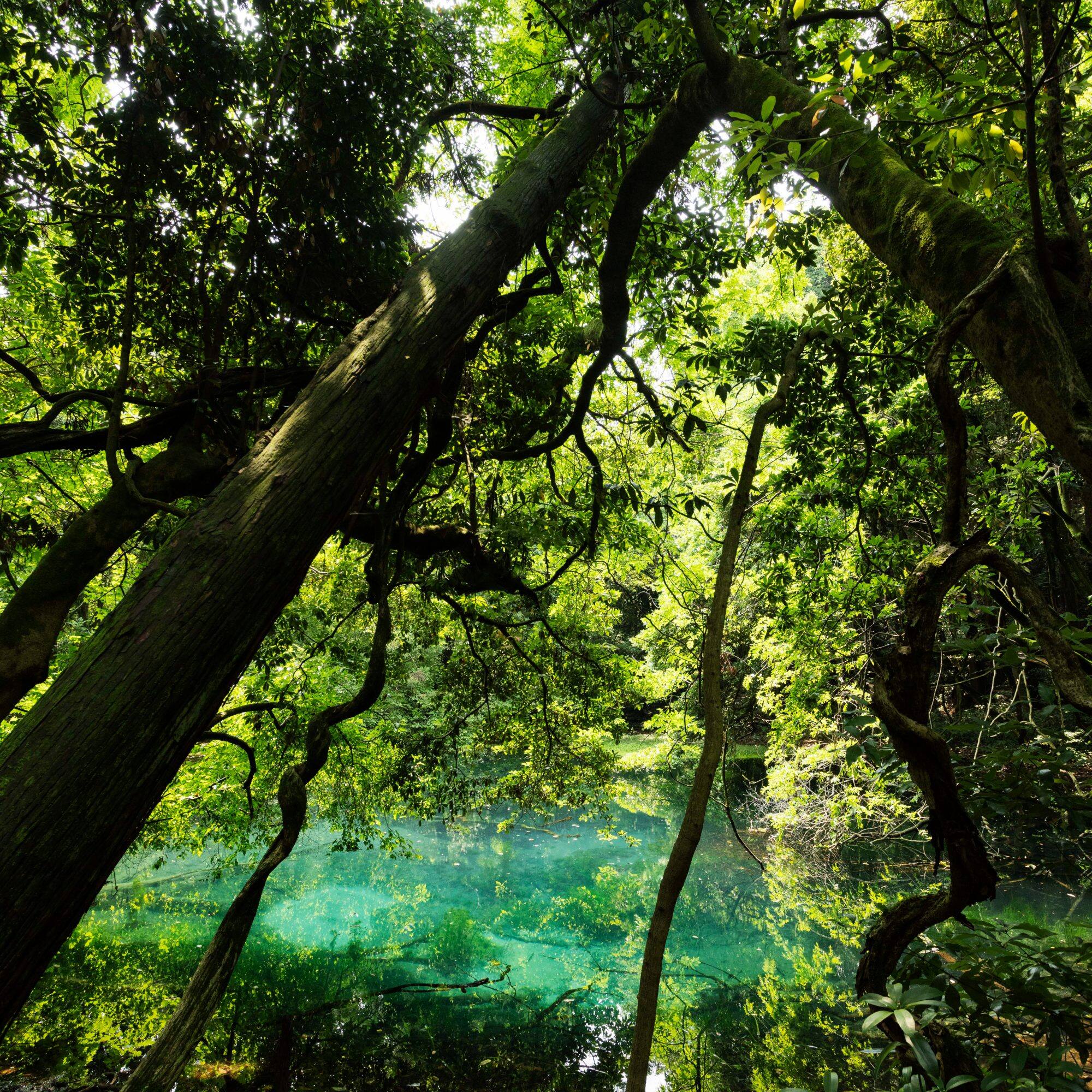 Maruike-sama Pond
