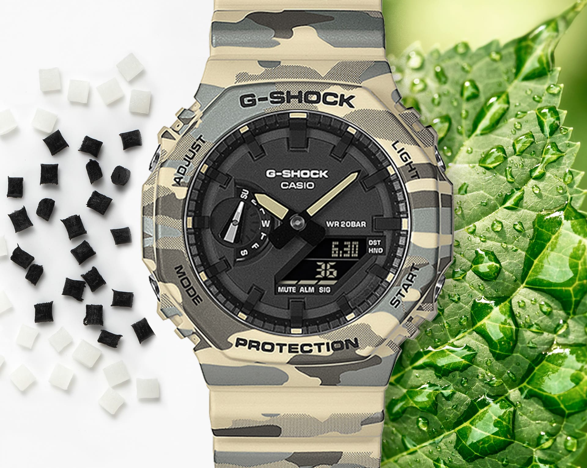 DW-5600RRB-4のバイオマスイメージ画像