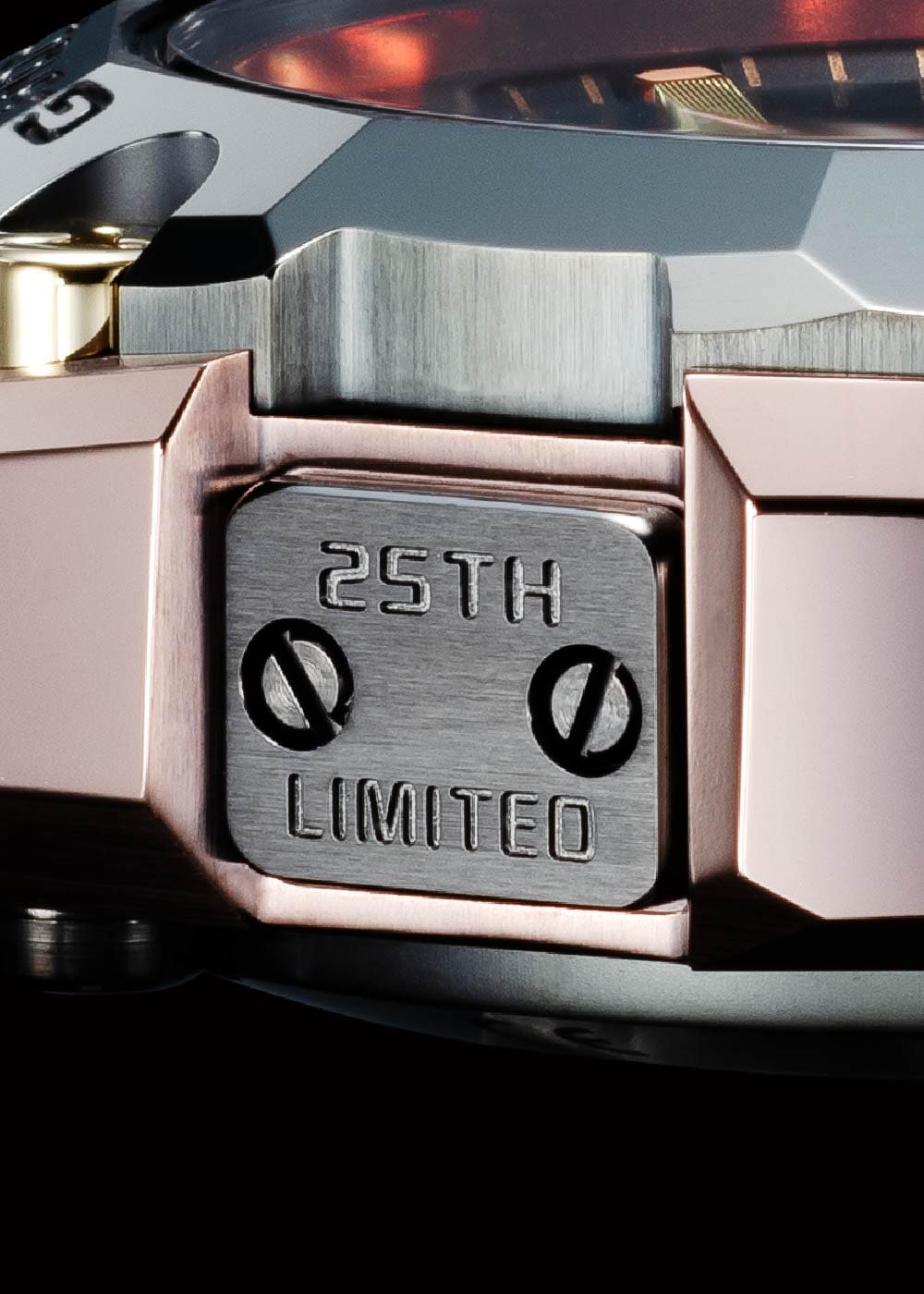 Clad Guard structure for reliable shock resistance and operability