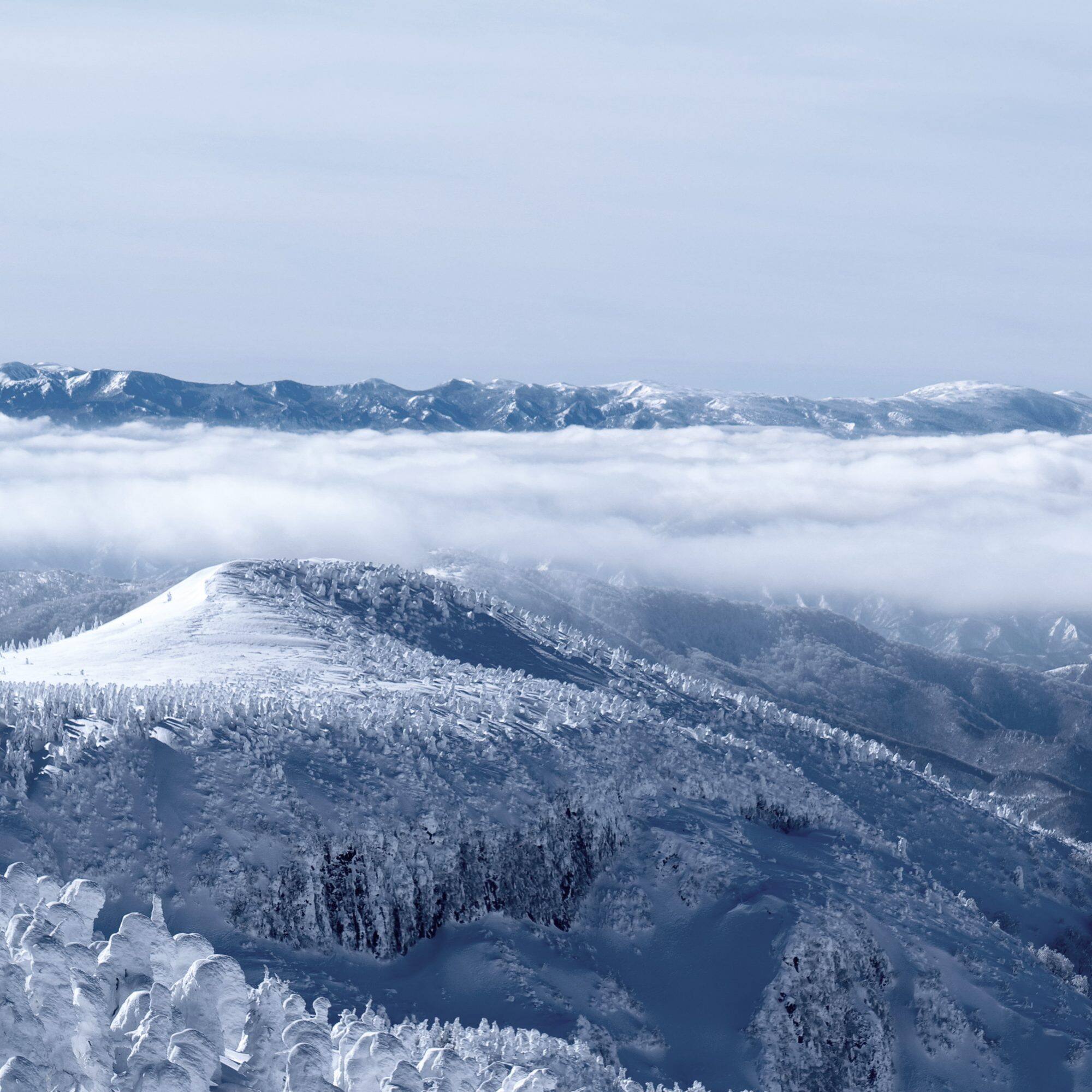 The MR-G History and Watchmaking pages are now available.