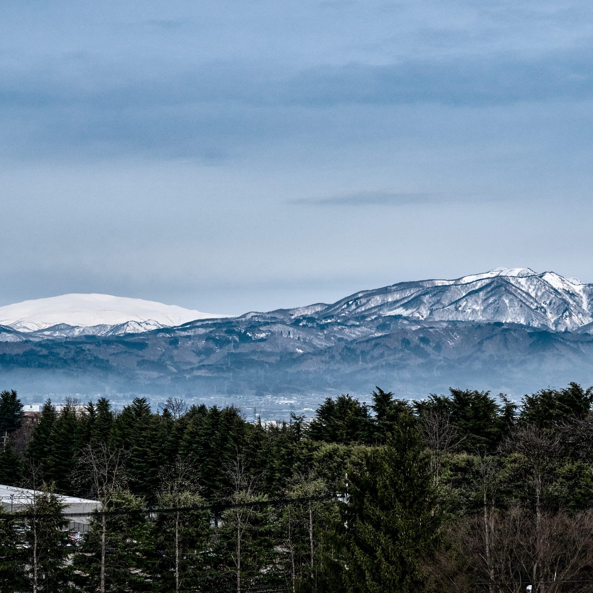 Frogman: Derinlik Tutkusu