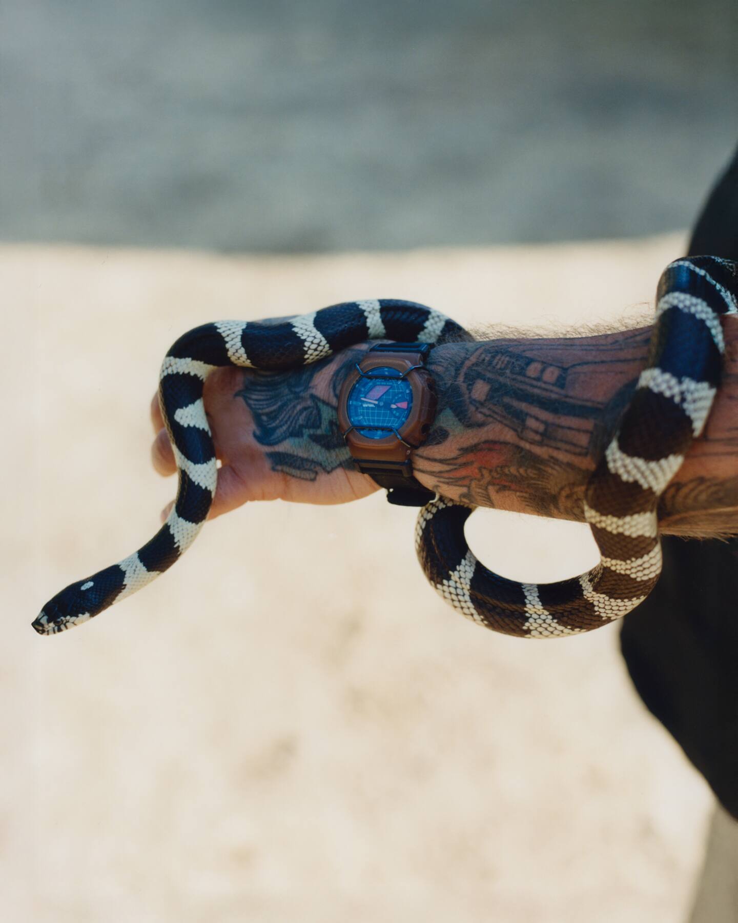 GA2100AB25 Collaboration Model | CASIO