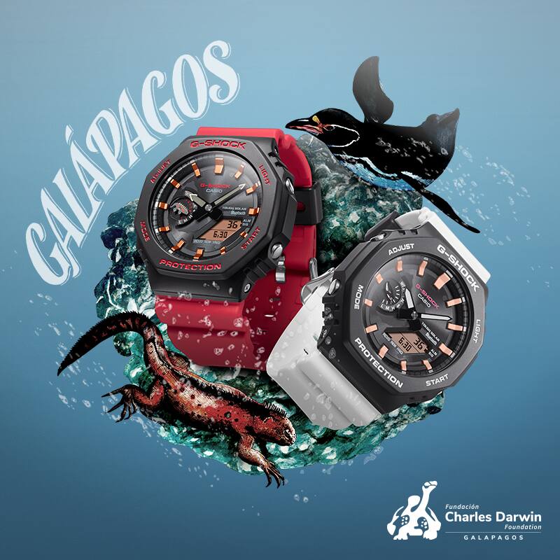CASIO G-SHOCK クレイジーギャングスターズ DW-8195 G-SHOCK FOX FIRE クレイジーギャングスターズ DW-8195-2の製品画像