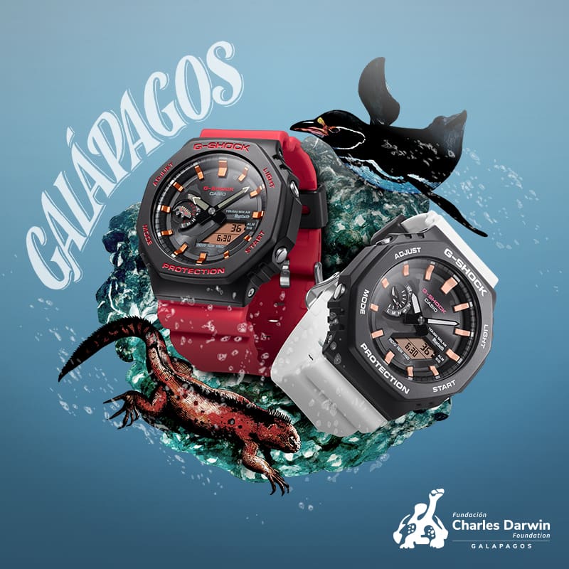 GA-B2100CD | CASIO
