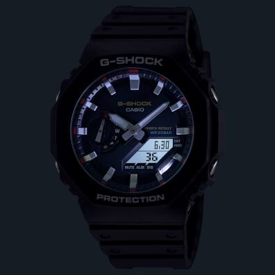 Analog-Digital - GA-2100 | G-SHOCK INDIA