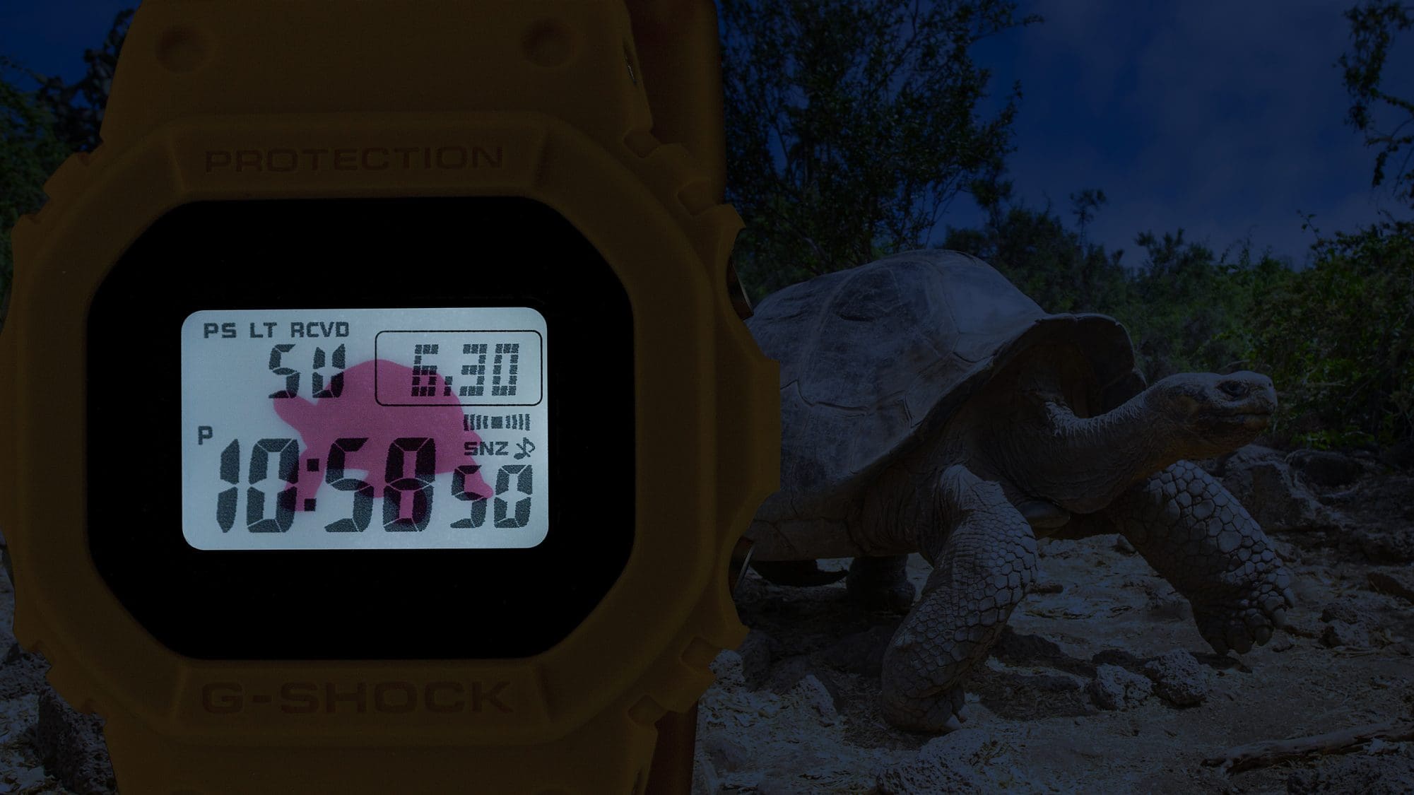 Das beleuchtete Display der GW-B5600CD-9 Digitaluhr mit roter Schildkröte Display-Hintergrund