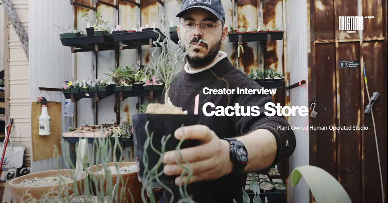 Startbild des Cactus Store-Video. Klick aufs Bild öffnet das Video.