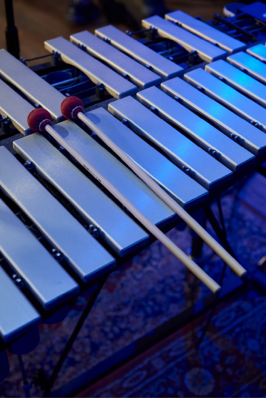 Joel Ross vibraphone close-up during performance