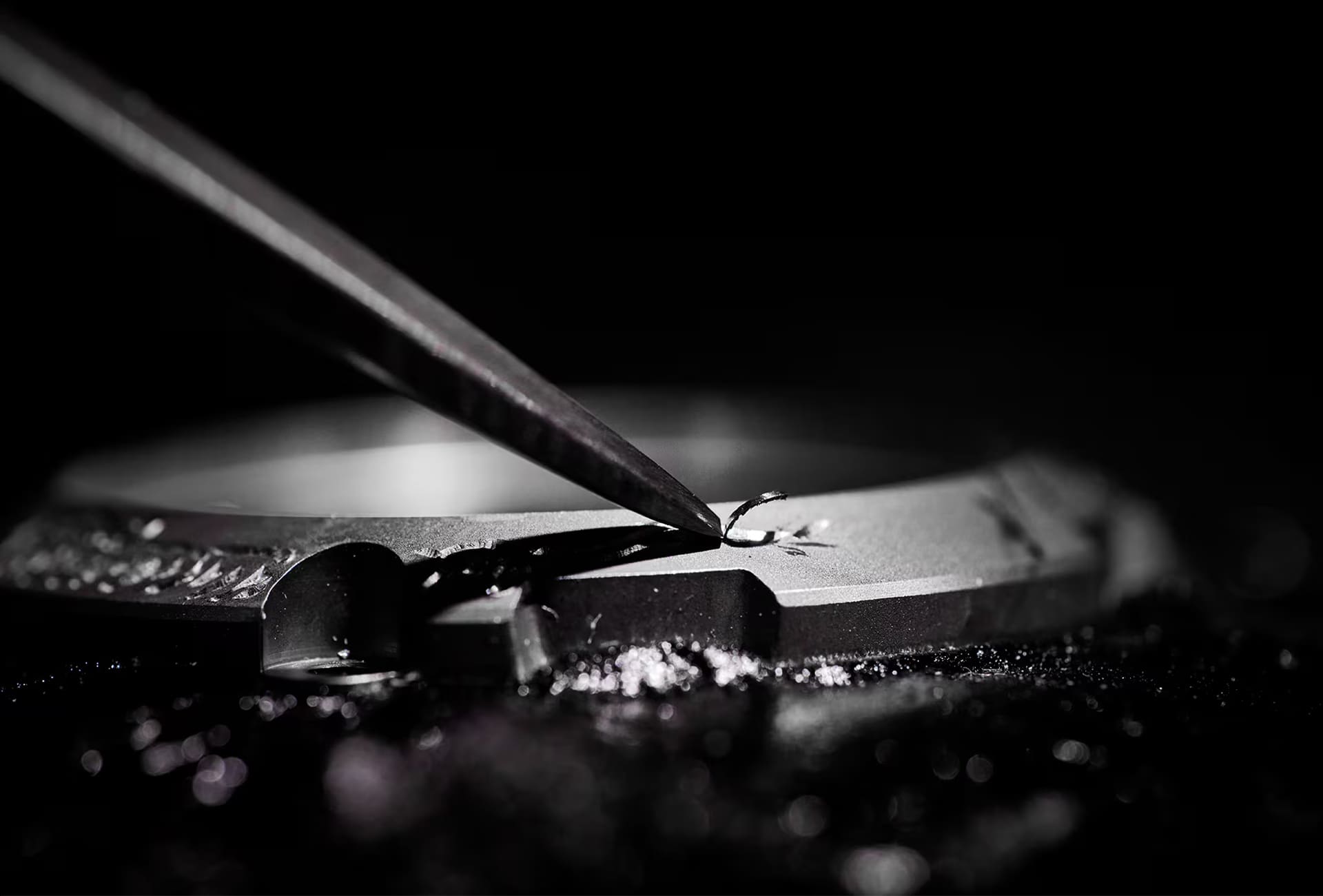 Una fotografía con un fénix grabado en el bisel