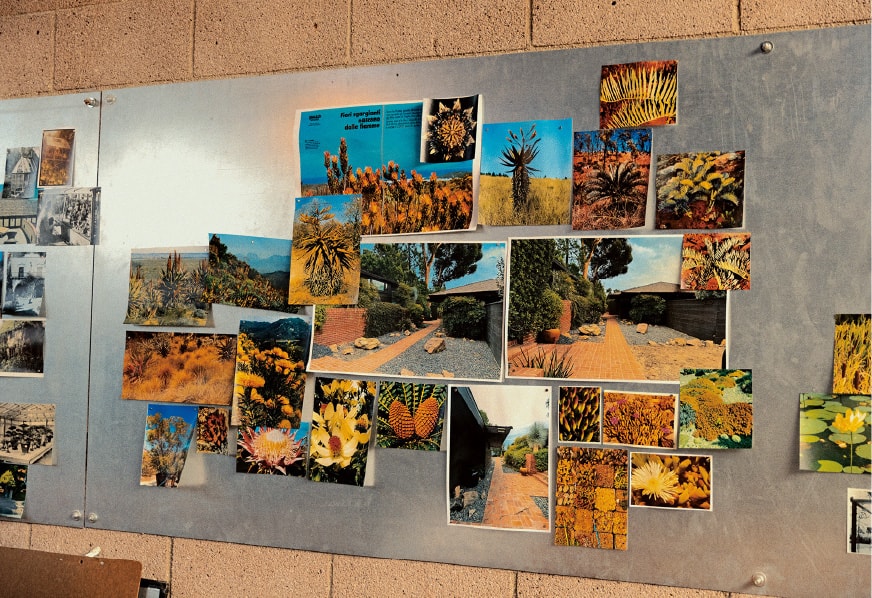 Une photo du mur de l'atelier du Cactus Store