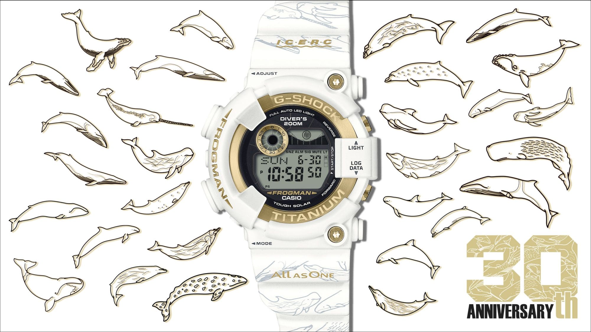 クジラ×ダイバーズウオッチ
