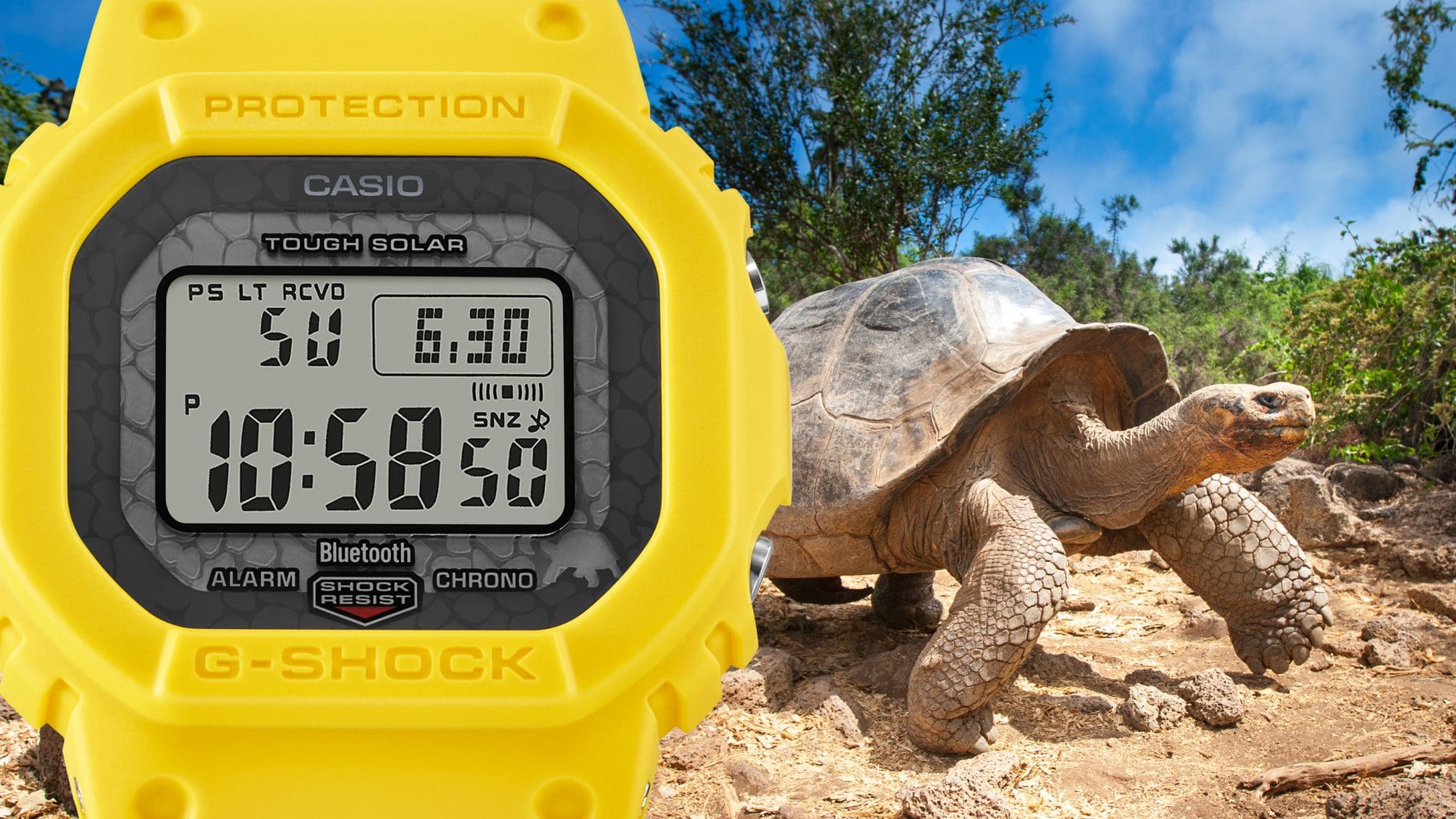 Het gele Casio G-Shock GW-B5600CD-9 Bluetooth® horloge tegen een achtergrond van een reuzenschildpad van Galápagos