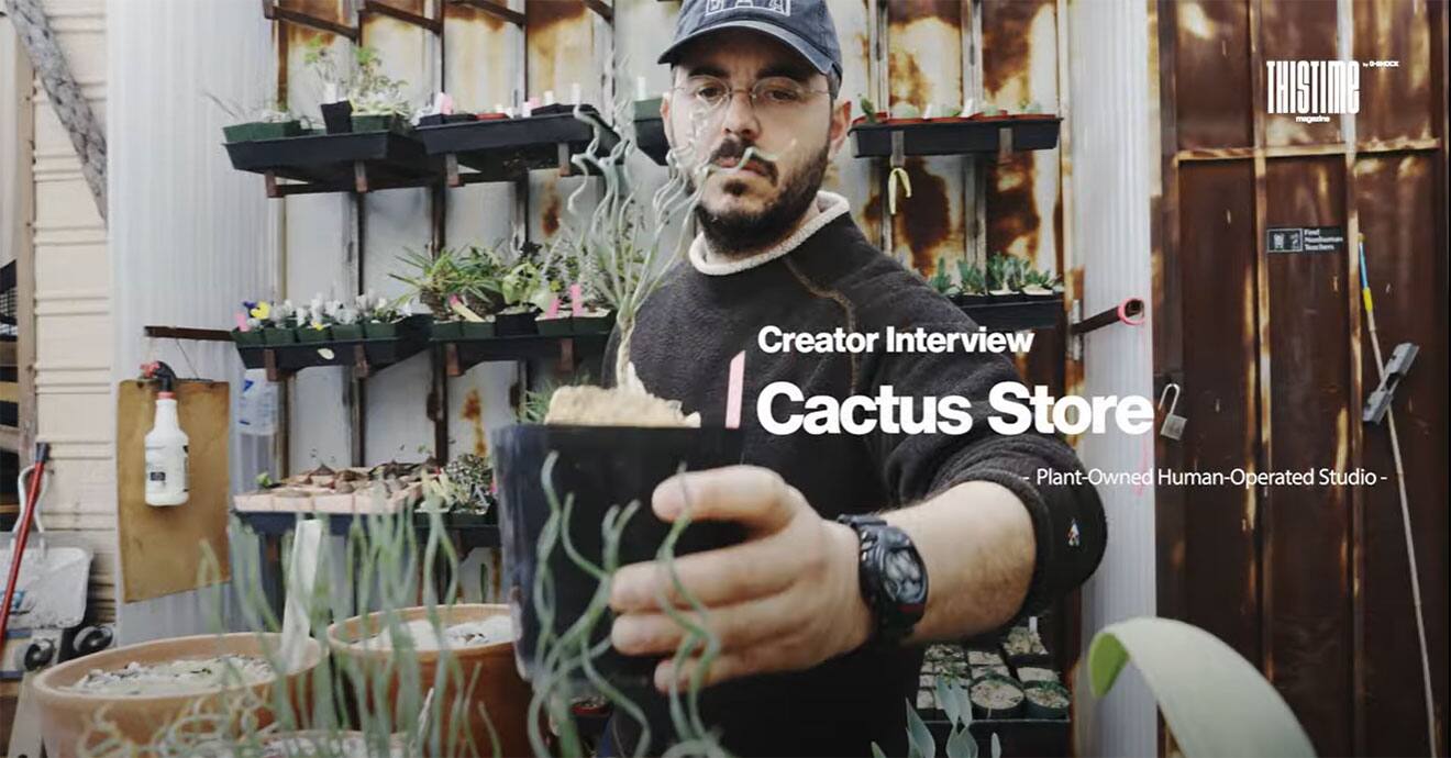 Startbeeld van de Cactus Store-video. Klik op de afbeelding om de video te openen.