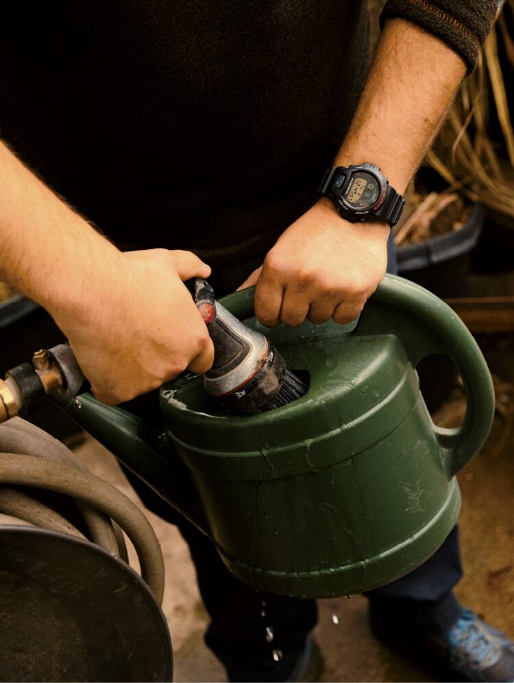 Um homem usando um G-SHOCK DW-6900 preto no pulso enchendo um regador