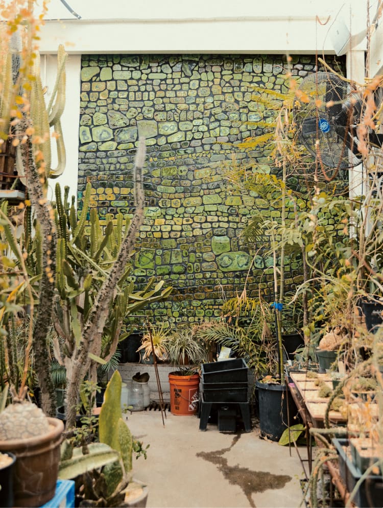 Cactus Store'un iç kısmının fotoğrafı.